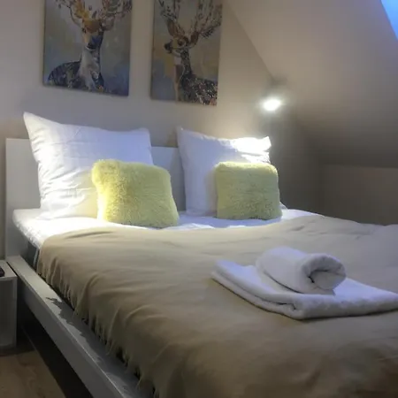 公寓 Apartament Silence Triventi Afekt 卡尔帕奇