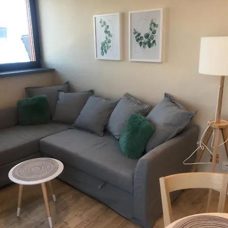 Apartament Silence Triventi Afekt 卡尔帕奇